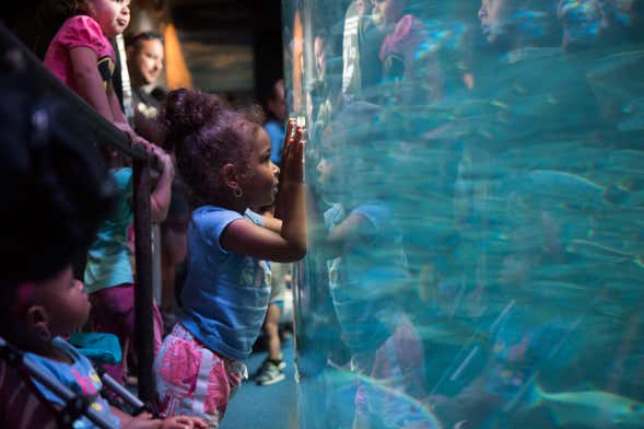 Billet pour l'Aquarium of The Pacific