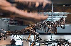 Guide de Los Angeles