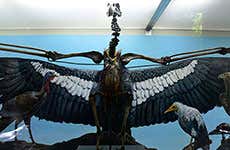 Guide de Los Angeles